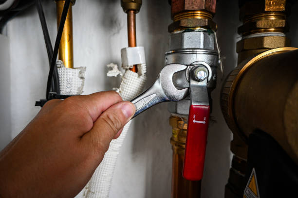Best Residential Plumbing Services  in Lake Stickney, WA